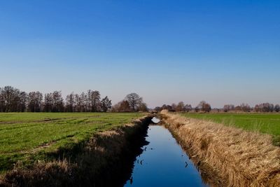 Canal amidst field against clear blue sky
