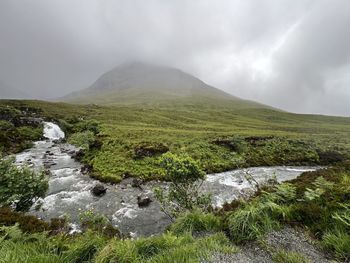 environment