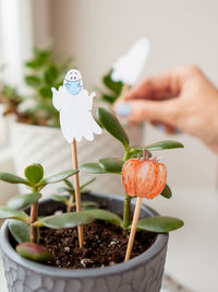 Woman decorates flower pots with decorations for halloween. painted ghost in medical protective mask