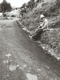 Plants growing on road