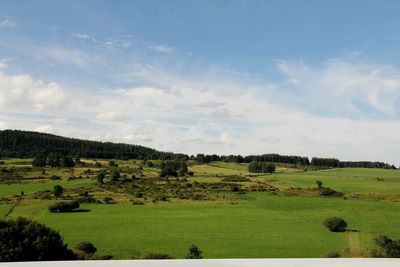 Scenic view of grassy field against sky