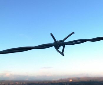 Close-up of barbed wire against clear blue sky