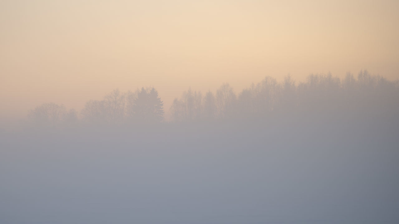 SILHOUETTE TREES ON LANDSCAPE AGAINST SKY