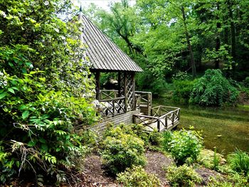 Gazebo against trees