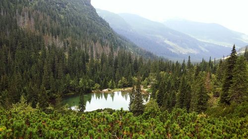 Scenic view of lake and mountains