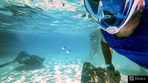 Man swimming in sea