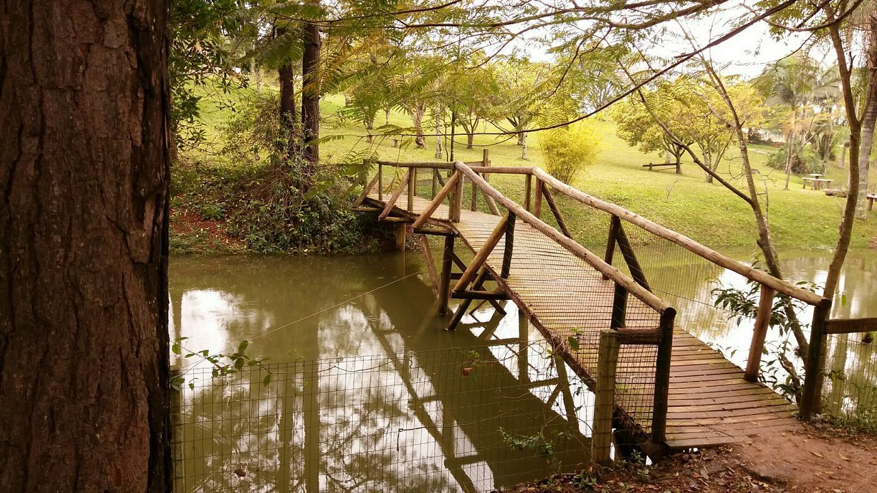 FOOTBRIDGE OVER LAKE AMIDST TREES IN FOREST