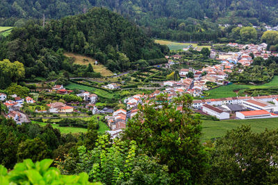 High angle view of trees and houses on field