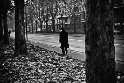 Rear view full length of man walking by fallen leaves on road in city