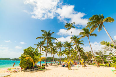 Palm trees on beach against sky