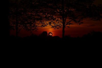 Silhouette trees against orange sky