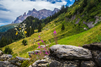 Scenic view of mountains against sky