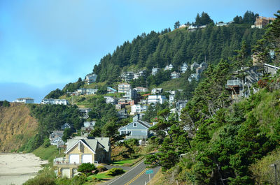 Trees and houses against sky in town