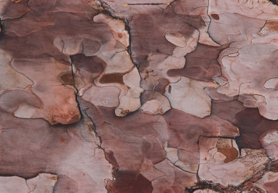 Full frame shot of weathered wall