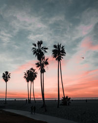 Silhouette palm trees on beach against sky during sunset