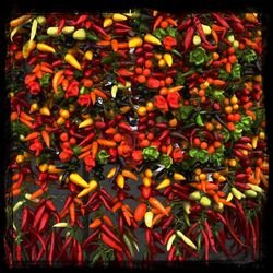 Full frame shot of red chili peppers