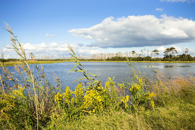 Scenic view of lake against sky
