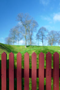 Close-up of row on field against sky