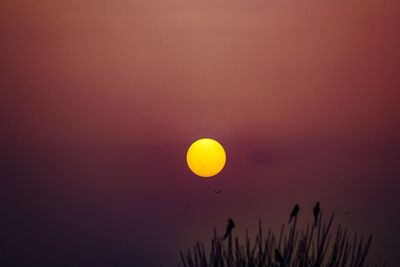 Scenic view of moon in sky at sunset