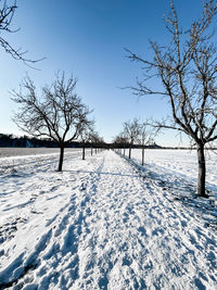 Bare trees on snow covered field against sky