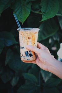 Close-up of hand holding glass of drink