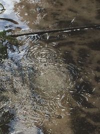 Full frame shot of water