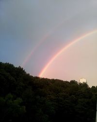 Low angle view of rainbow over trees against sky