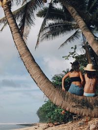 Women by palm tree on beach against sky