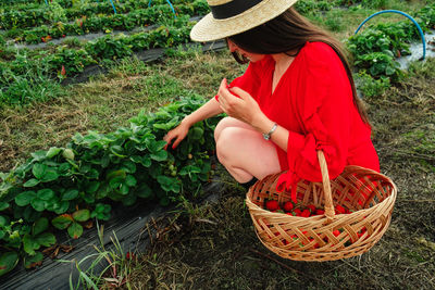 High angle view of young woman with wicker basket