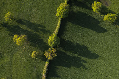 High angle view of sea