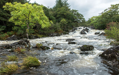 Scenic view of waterfall in forest against sky