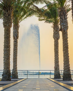 Scenic view of palm trees against sky