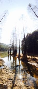 Scenic view of lake against clear sky