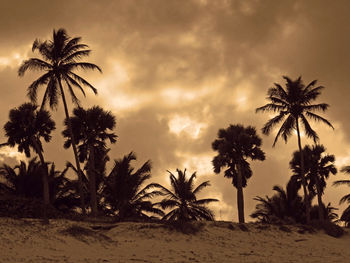 Silhouette palm trees on beach against sky at sunset