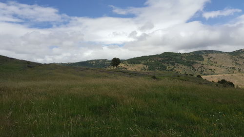 Scenic view of landscape against cloudy sky