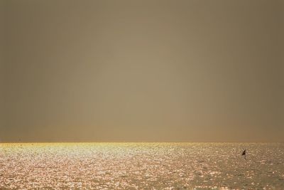 Scenic view of sea against clear sky during sunset