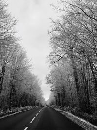 Road amidst trees against sky during winter