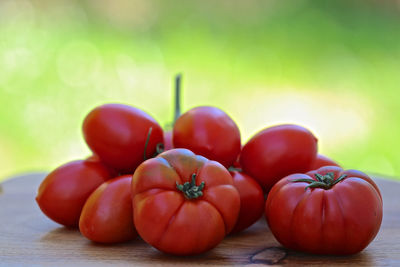 Close-up of tomatoes on table