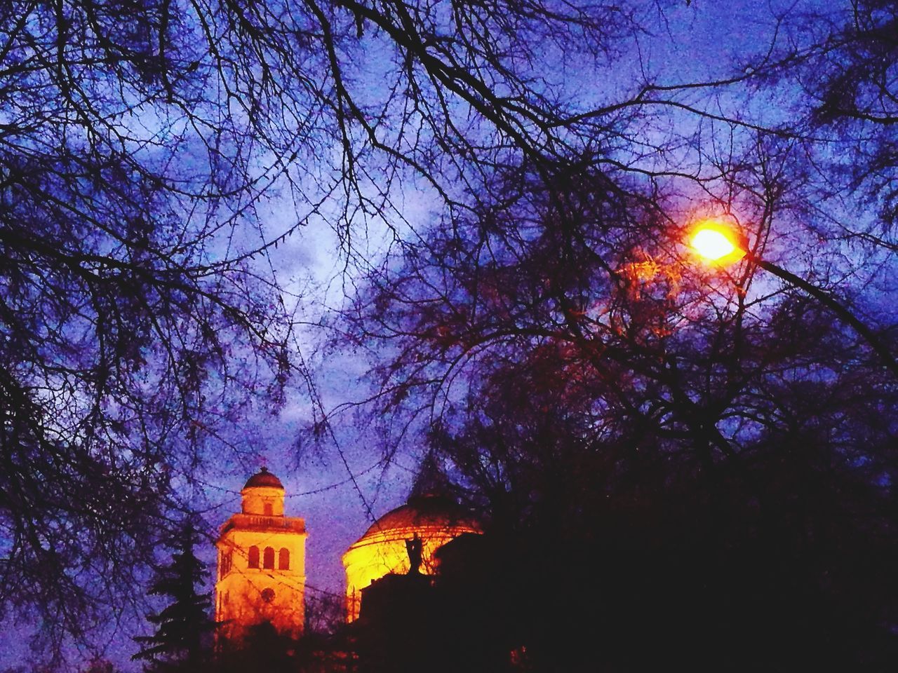 LOW ANGLE VIEW OF ILLUMINATED TREES AGAINST SKY AT DUSK