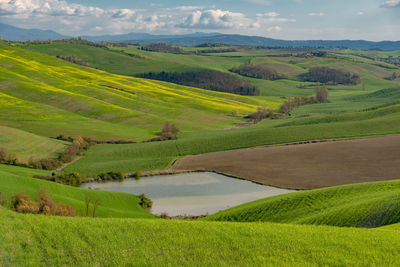 Scenic view of agricultural field