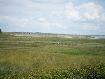 Scenic view of field against sky