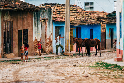 View of horse standing in front of built structure
