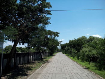 Empty footpath amidst trees against sky