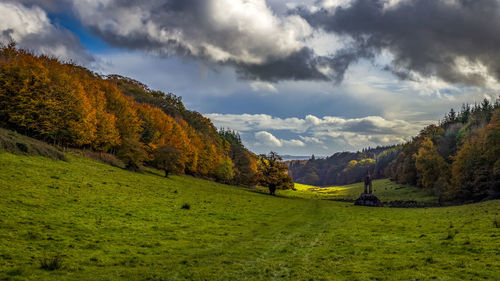 Scenic view of landscape against sky