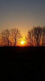 Silhouette bare trees on field against orange sky