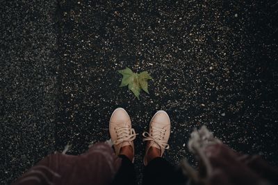 Low section of person standing on plant