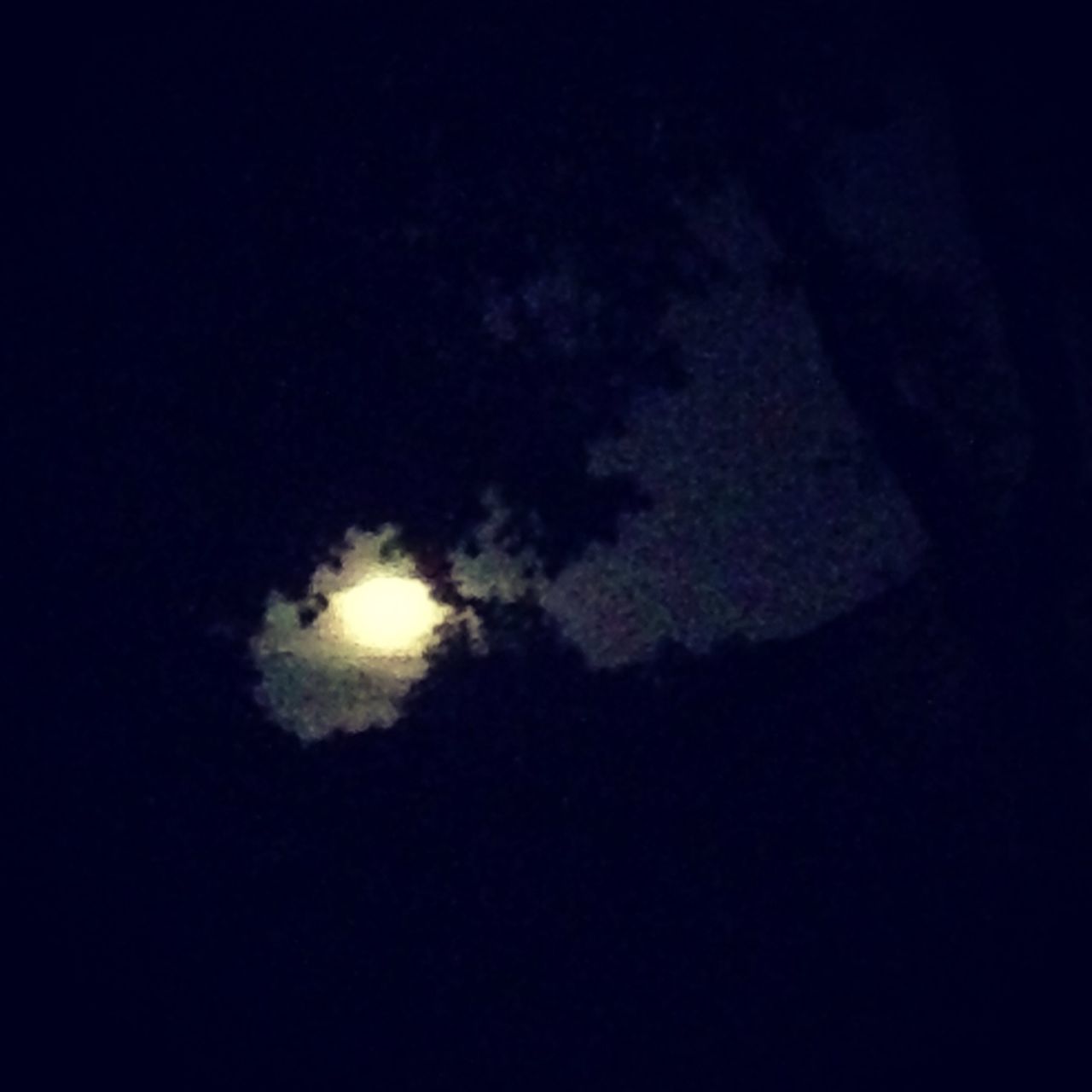 Moon risising throught the trees in my back yard.