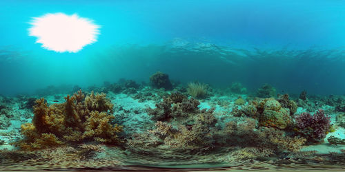 undersea