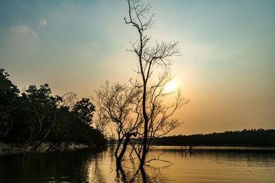 nature