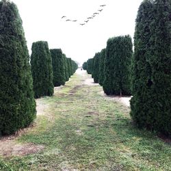 Road passing through landscape